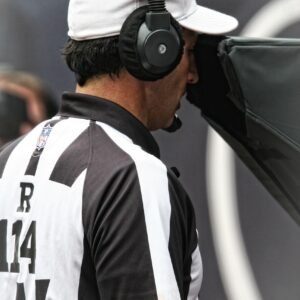referee, nfl, instant replay, game, american, football, sport, man, uniform, professional, stadium, stripes, ref, stripped, ruling, judgement, replay, looking, call, job, rules, regulations, hat, male, official, texas, gray football, gray gaming, gray job, gray game, gray games, referee, nfl, nfl, nfl, nfl, nfl, instant replay, instant replay, instant replay, judgement, replay, replay